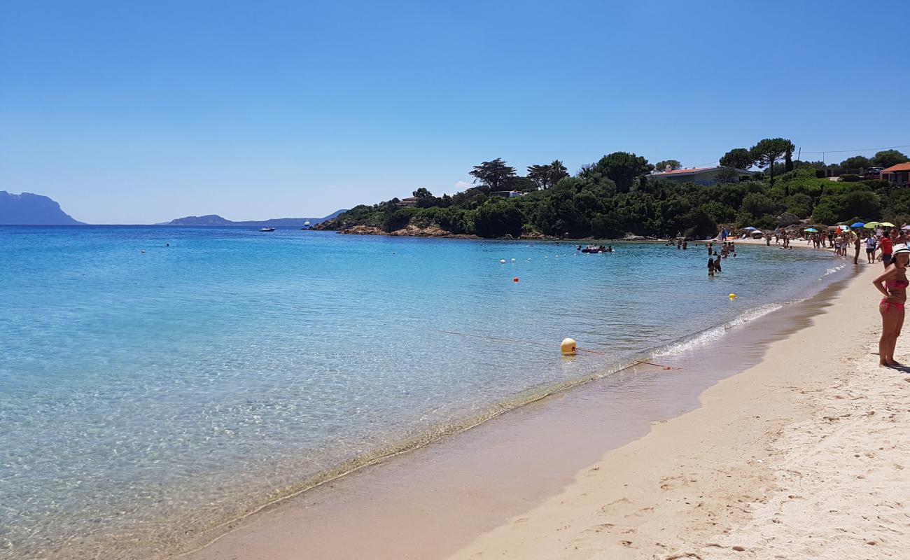 Spiaggia Cala Sassari'in fotoğrafı parlak ince kum yüzey ile