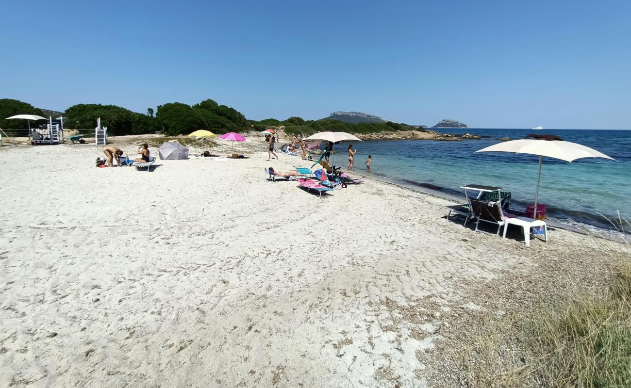 Spiaggia Terrata'in fotoğrafı parlak kum yüzey ile