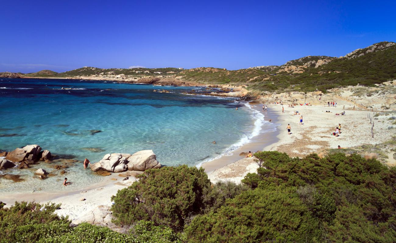 Spiaggia di Bassa Trinita'in fotoğrafı açık bej kum yüzey ile
