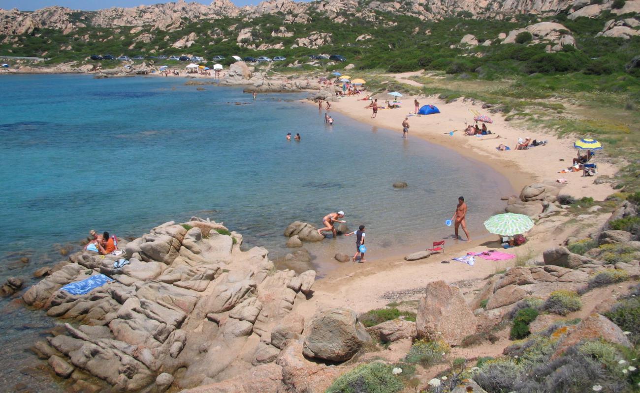 Spiaggia del Cardellino'in fotoğrafı hafif ince çakıl taş yüzey ile