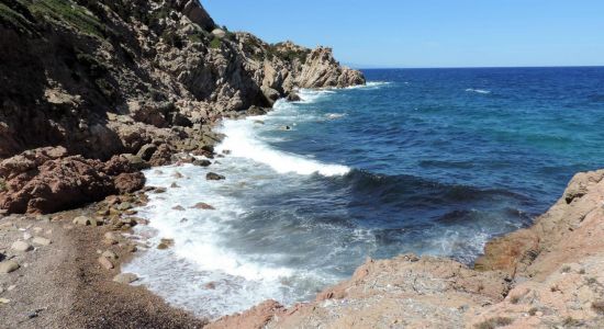 Cormorant beach