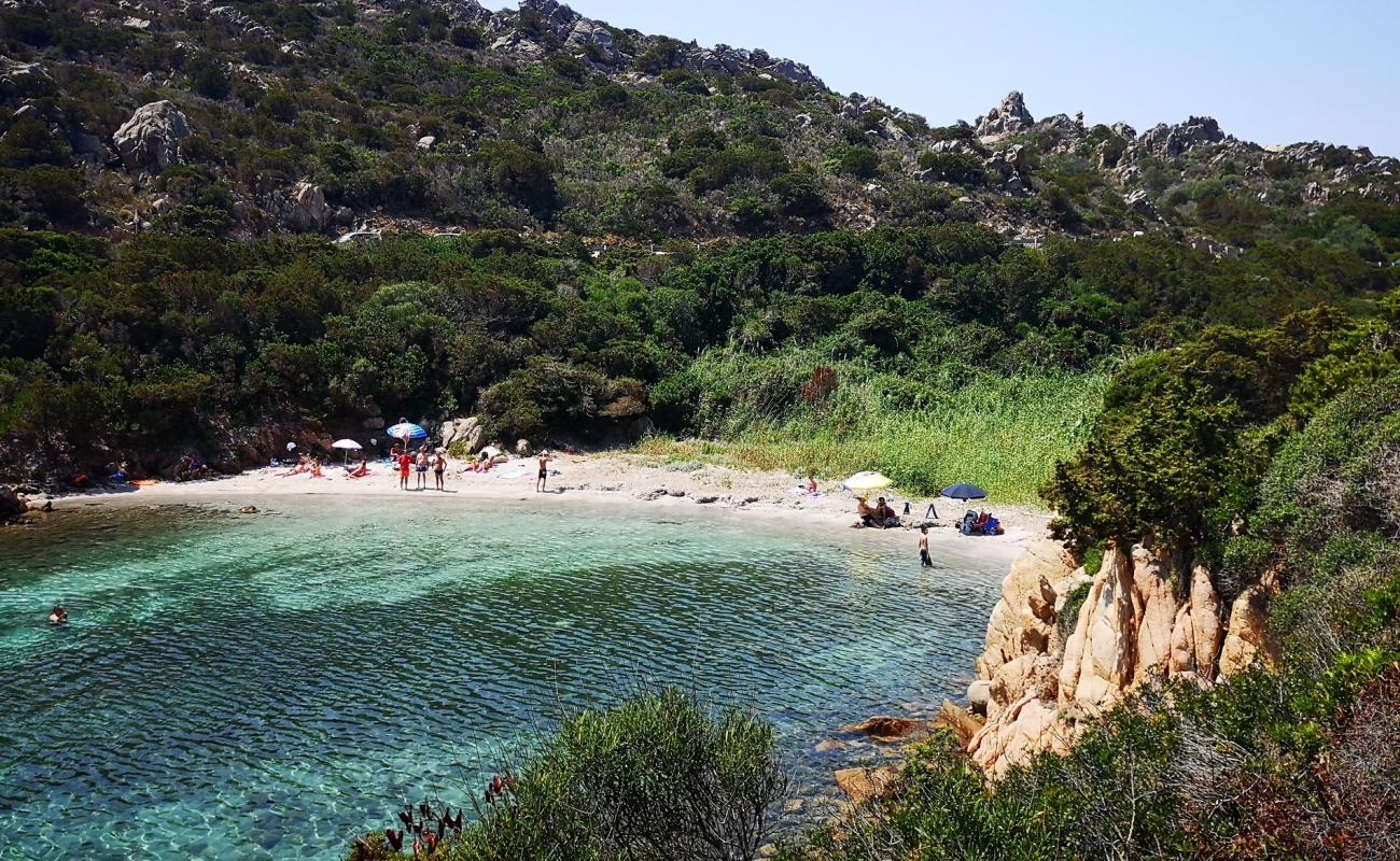 Cala Lunga beach'in fotoğrafı i̇nce bej kum yüzey ile