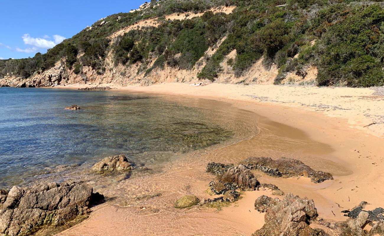 Costone beach'in fotoğrafı parlak kum yüzey ile