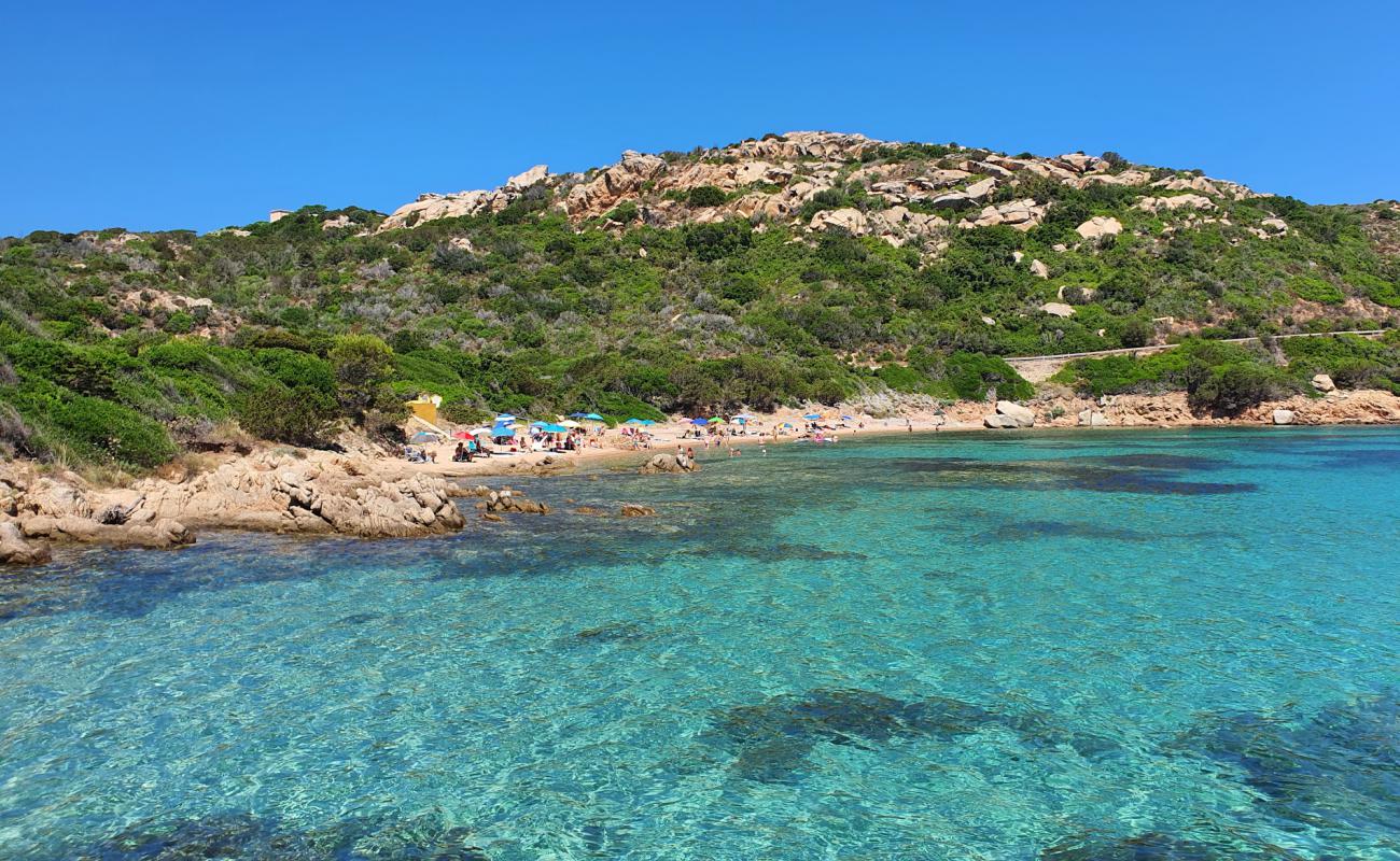 Cala Spalmatore'in fotoğrafı parlak kum yüzey ile