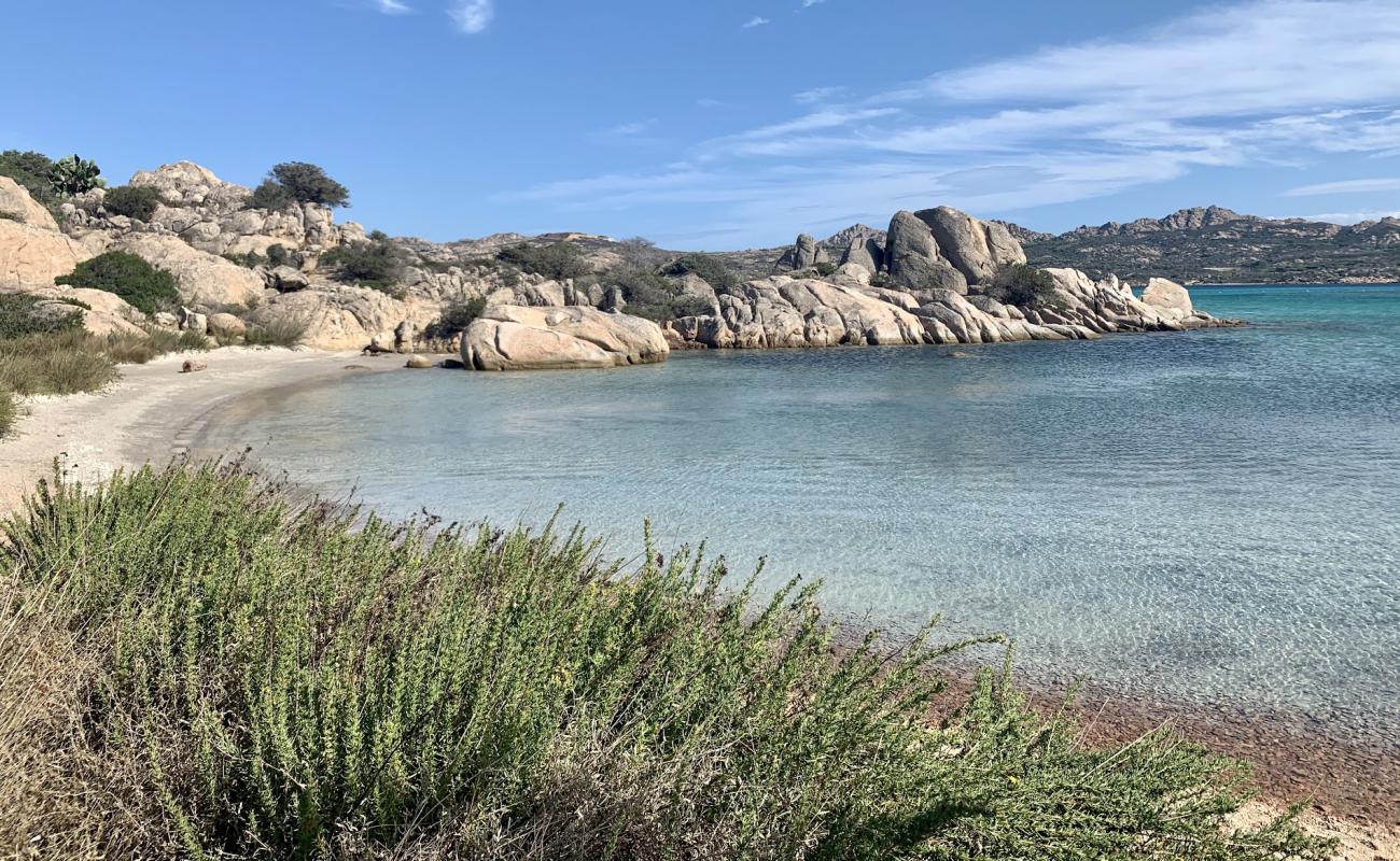 Sapling beach'in fotoğrafı parlak kum yüzey ile