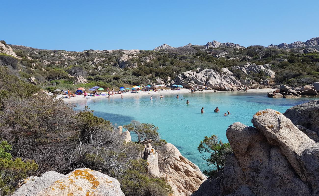 Cala Serena Beach'in fotoğrafı açık bej kum yüzey ile