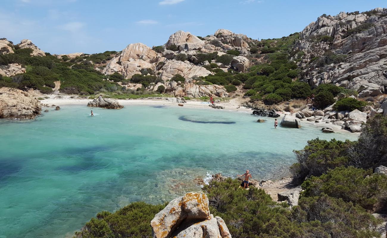 Neapolitan Cove'in fotoğrafı parlak kum yüzey ile