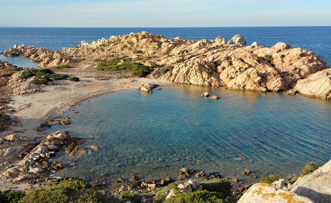 Punta Crucitta beach'in fotoğrafı parlak kum yüzey ile