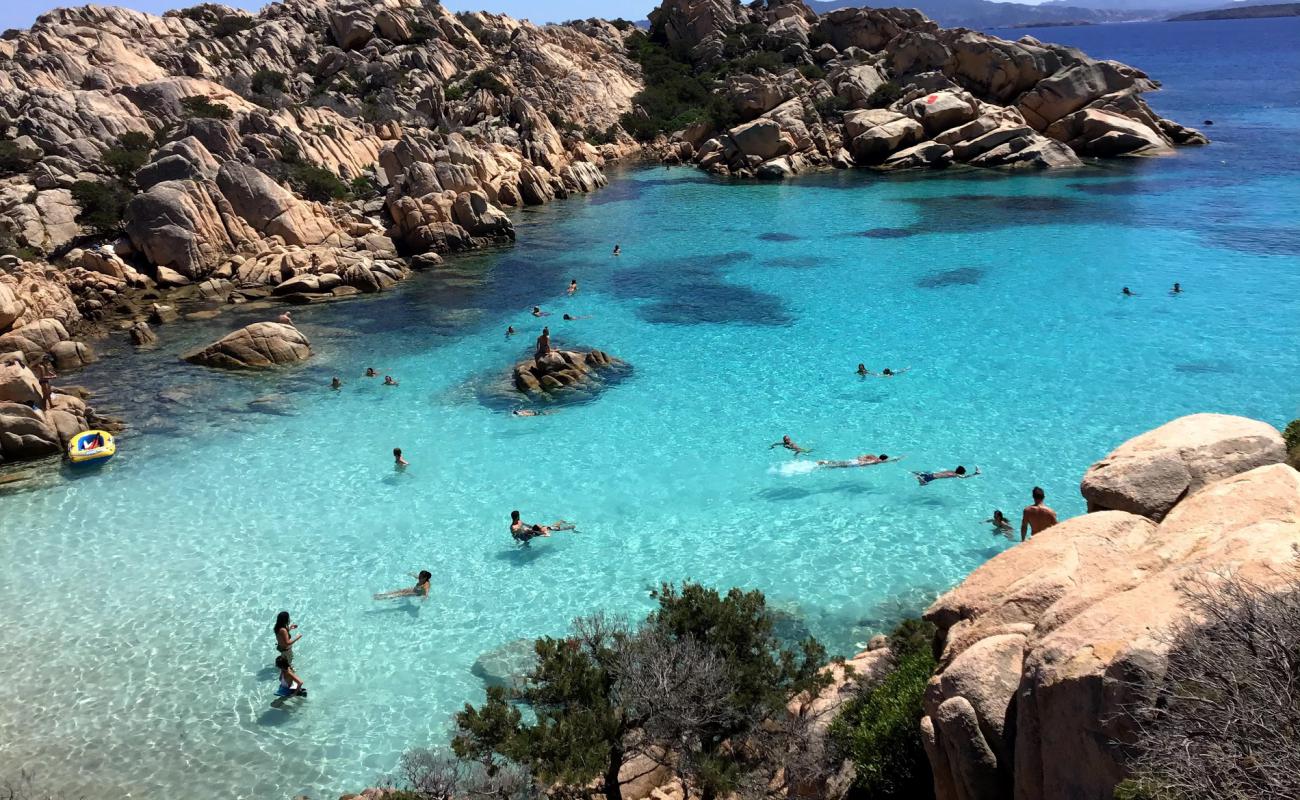 Cala Coticcio beach'in fotoğrafı beyaz kum yüzey ile