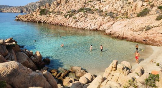 Cala Coticcio beach II