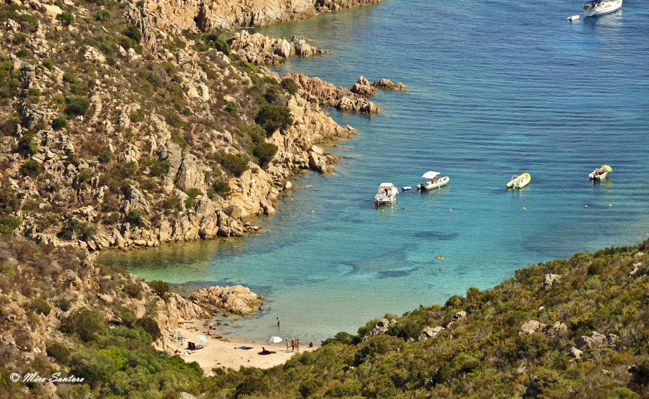 Spiaggia di Cala Brigantina'in fotoğrafı beyaz kum yüzey ile