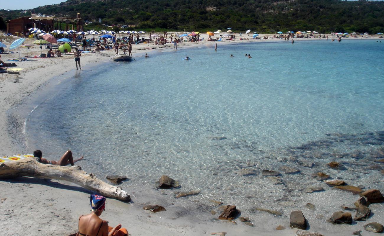 Cala dei Due Mari'in fotoğrafı i̇nce beyaz kum yüzey ile