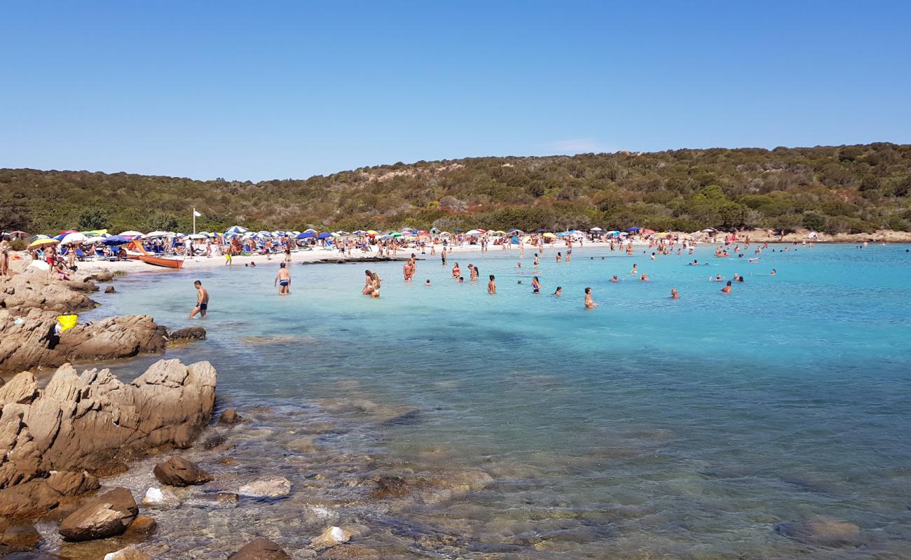 Enkaz Plajı'in fotoğrafı i̇nce beyaz kum yüzey ile