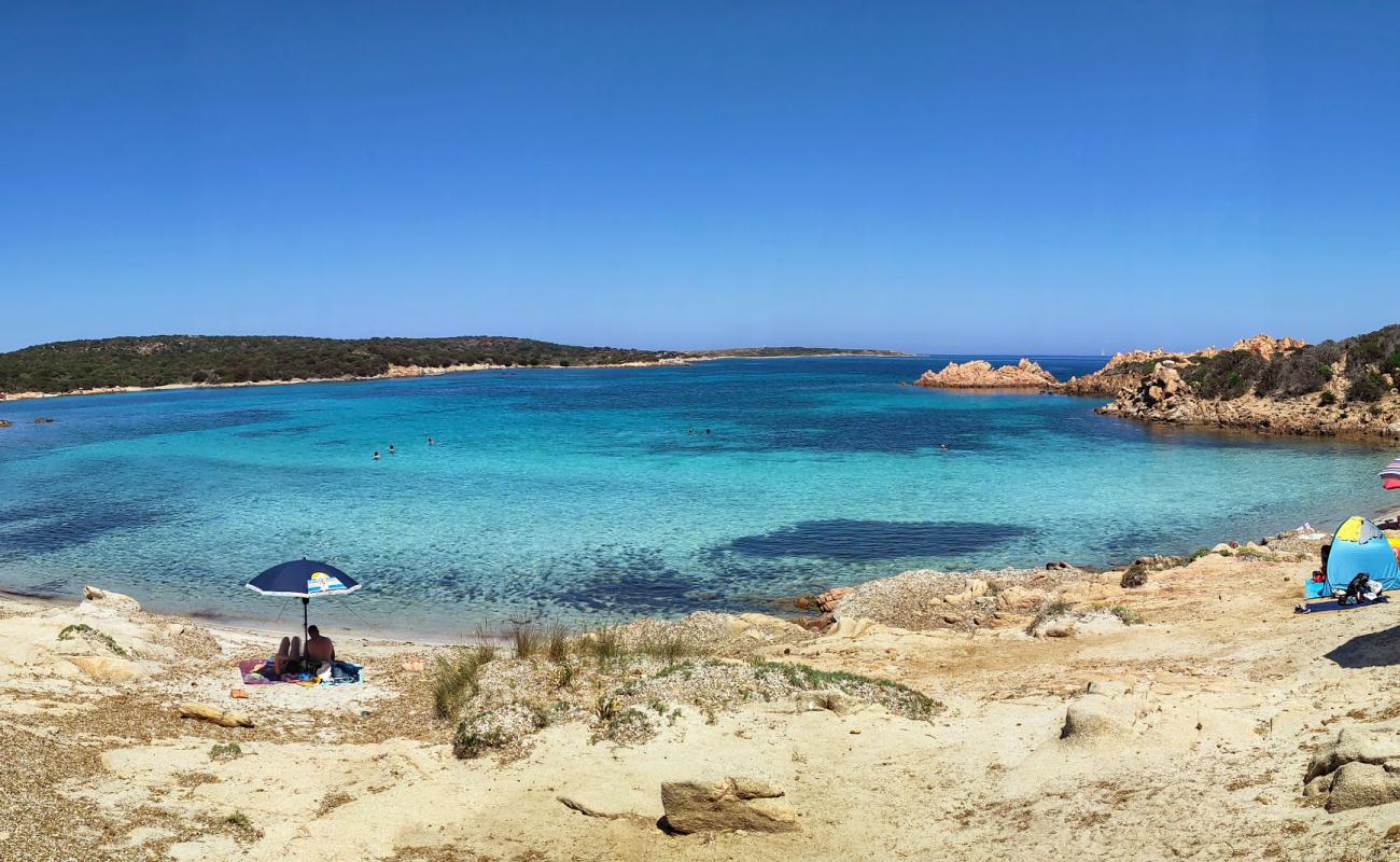 Cala Andreani'in fotoğrafı parlak ince kum yüzey ile