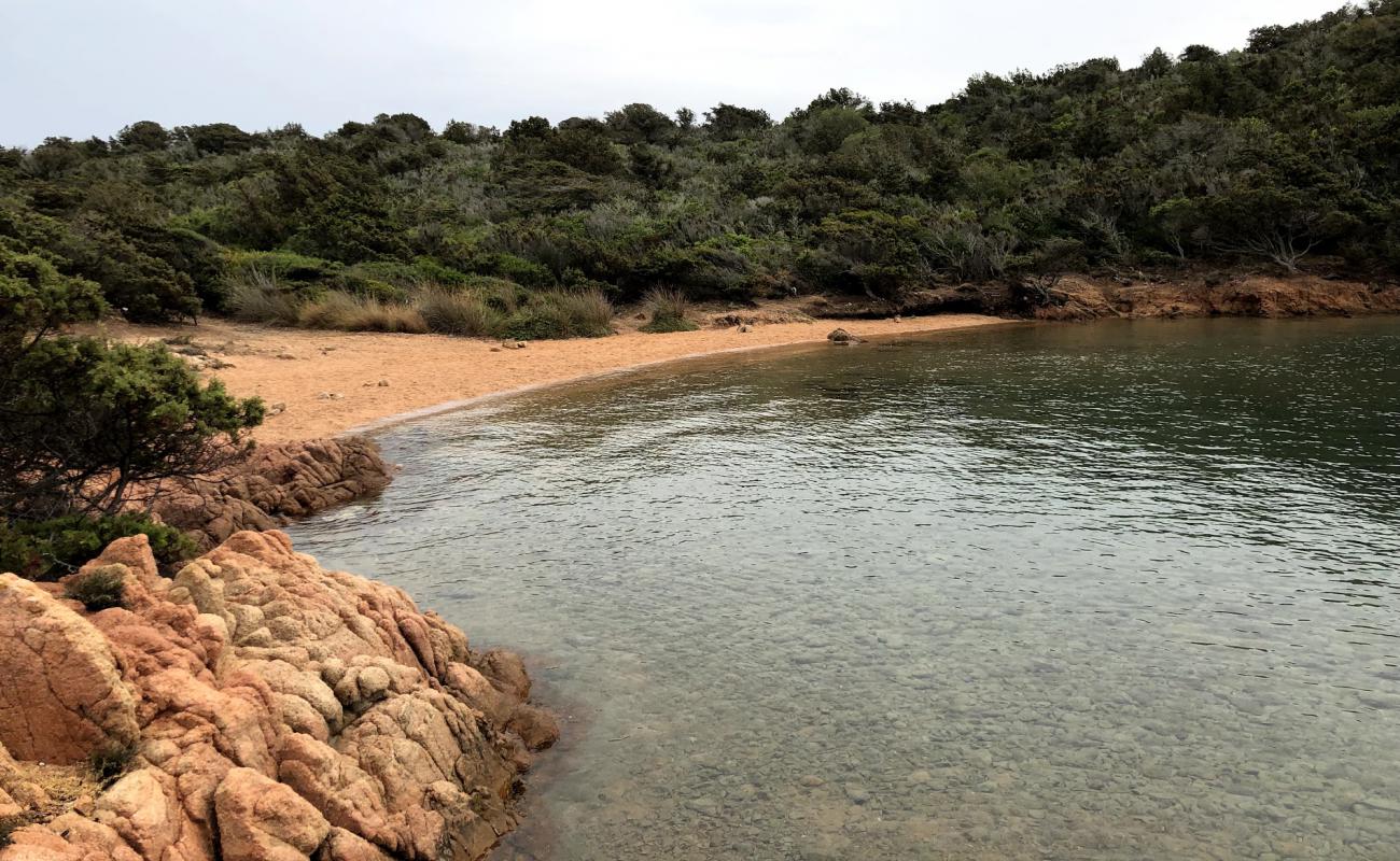 Spiaggia Cani Caprera'in fotoğrafı küçük bej çakıl yüzey ile