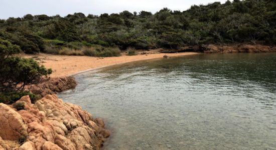 Spiaggia Cani Caprera