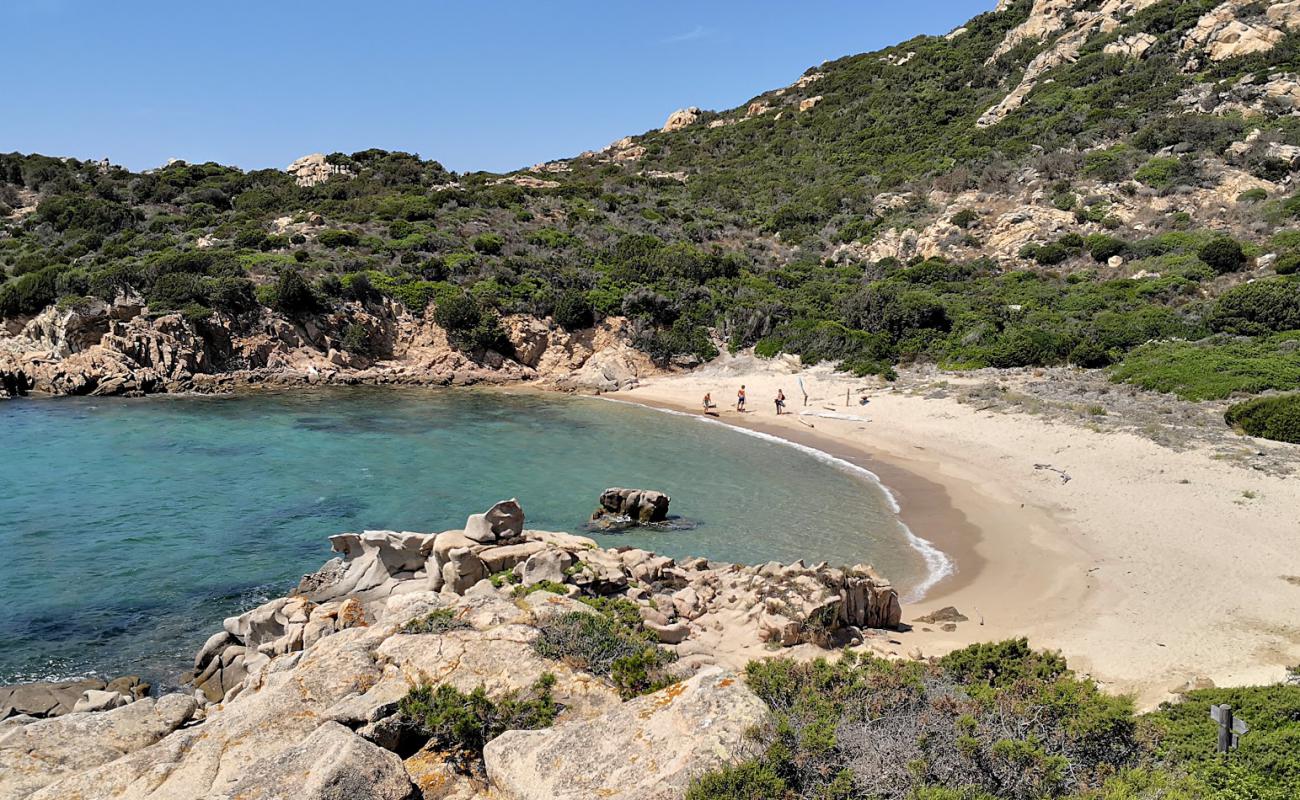 Cala D'alga beach'in fotoğrafı parlak kum yüzey ile