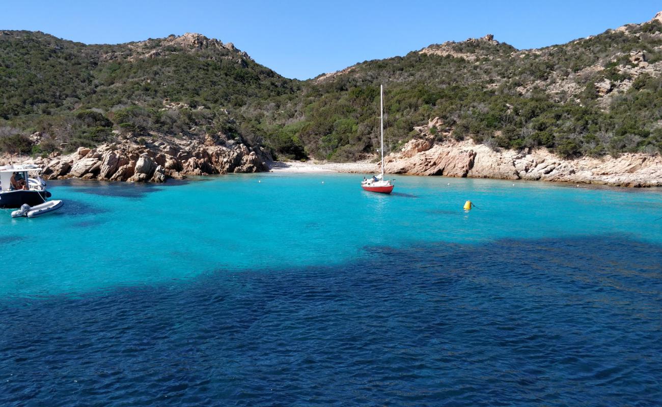 Cala Dell'amore'in fotoğrafı i̇nce beyaz kum yüzey ile