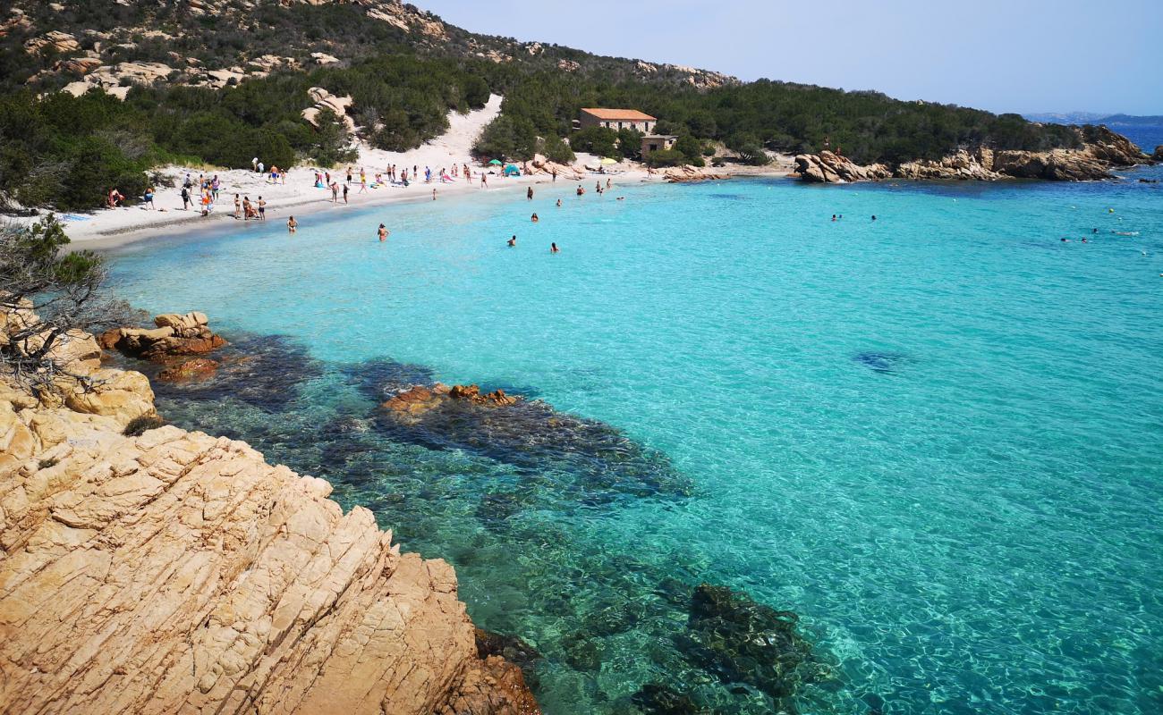 Cala Granara Plajı'in fotoğrafı açık bej kum yüzey ile