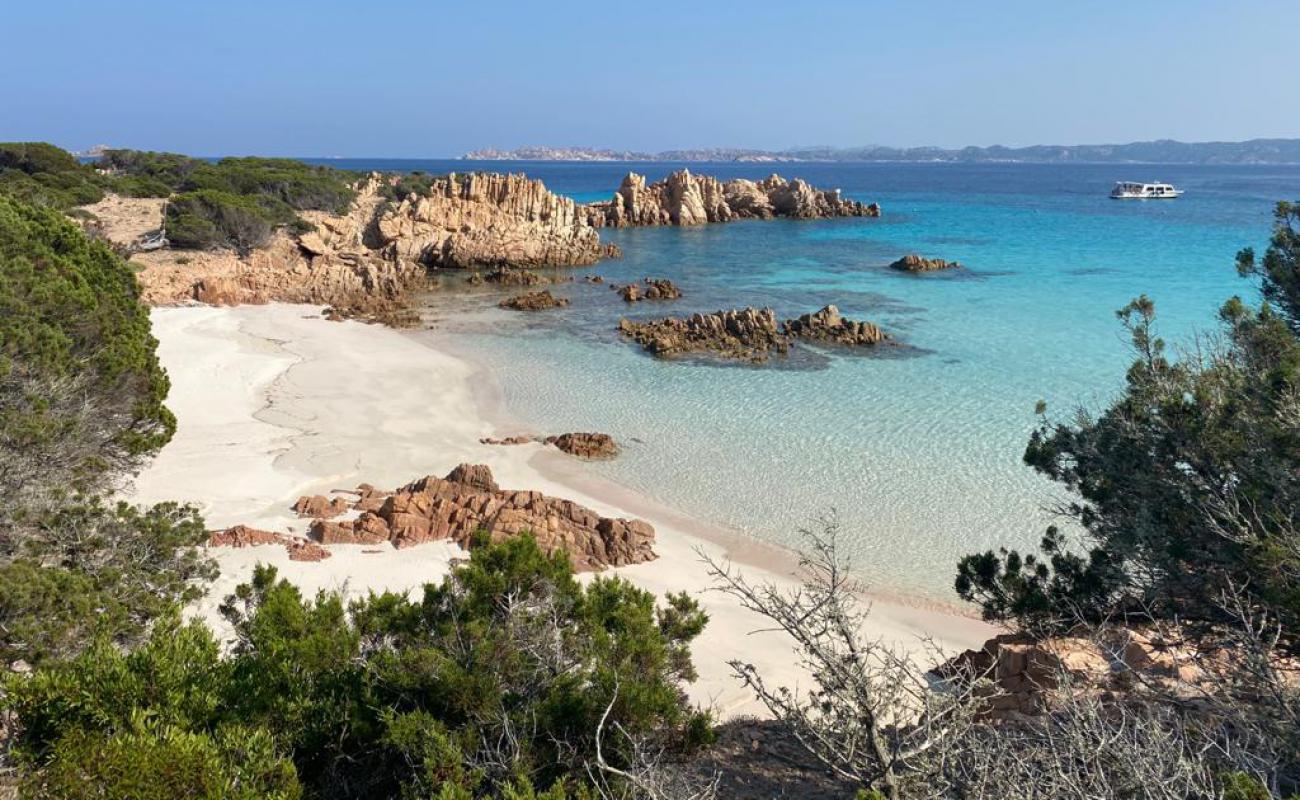 Spiaggia Rosa'in fotoğrafı açık bej kum yüzey ile