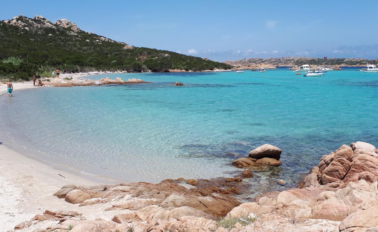 Spiaggia del Cavaliere'in fotoğrafı açık bej kum yüzey ile