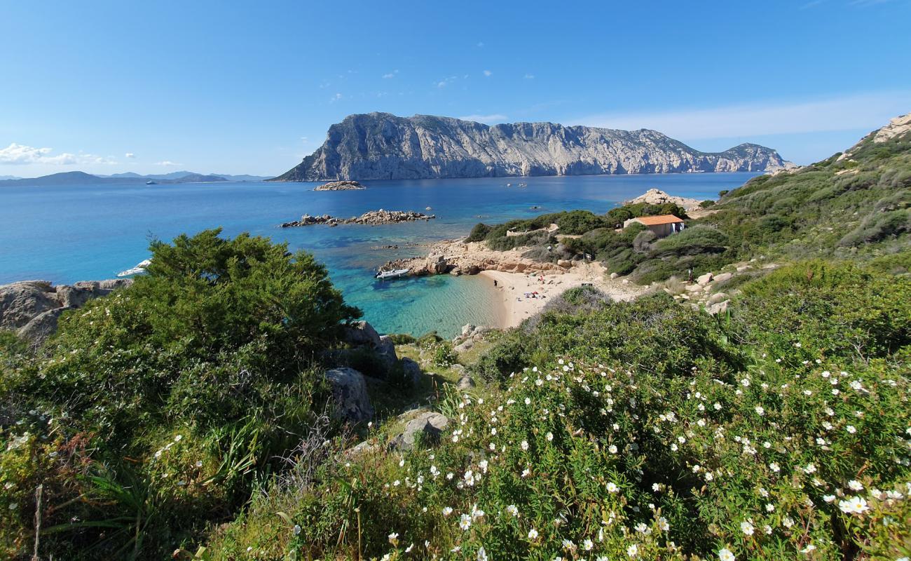 Spagnola Beach'in fotoğrafı bej kum ve kayalar yüzey ile