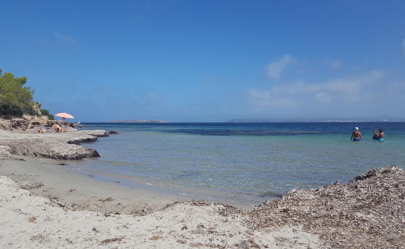 Cantagallina beach'in fotoğrafı açık bej kum yüzey ile