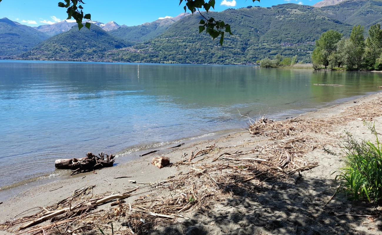 Selvaggia Beach'in fotoğrafı açık bej kum yüzey ile