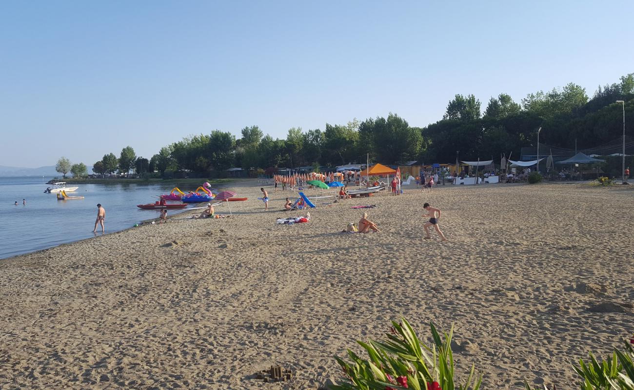 Tuoro Beach'in fotoğrafı parlak kum yüzey ile