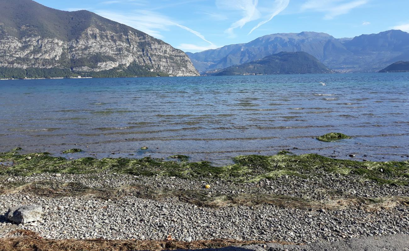 Sassabar Beach'in fotoğrafı çim yüzey ile