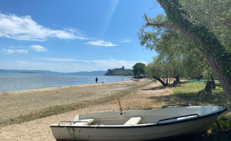 Castiglione del Lago'in fotoğrafı çim yüzey ile