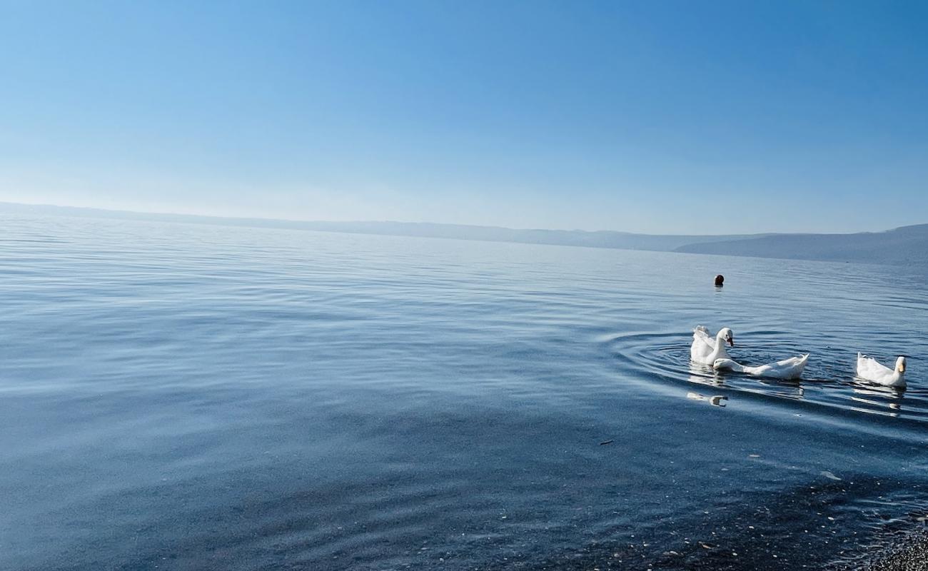 Spiaggia Cani Trevignano'in fotoğrafı gri ince çakıl taş yüzey ile