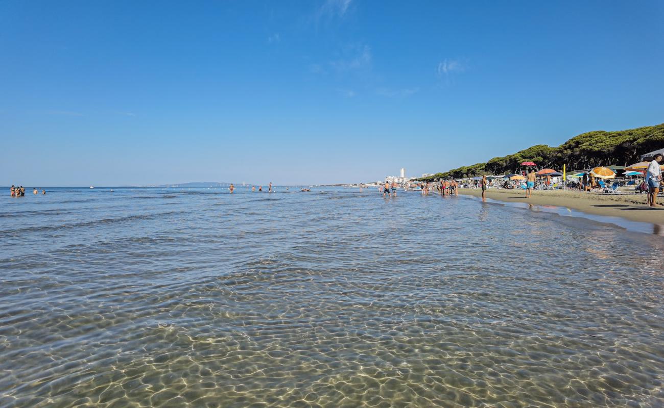 Spiaggia di Follonica'in fotoğrafı parlak kum yüzey ile