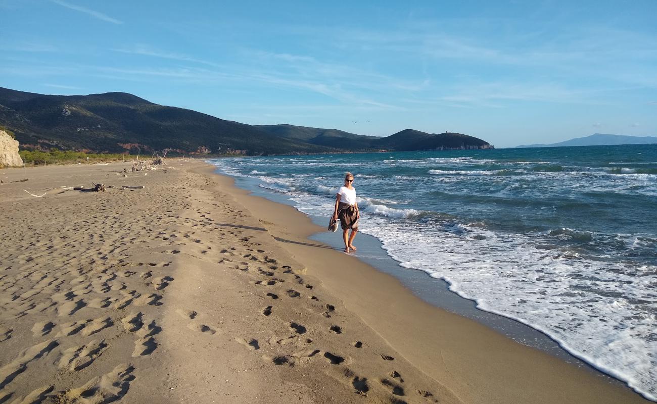 Spiaggia di Collelungo'in fotoğrafı açık bej kum yüzey ile