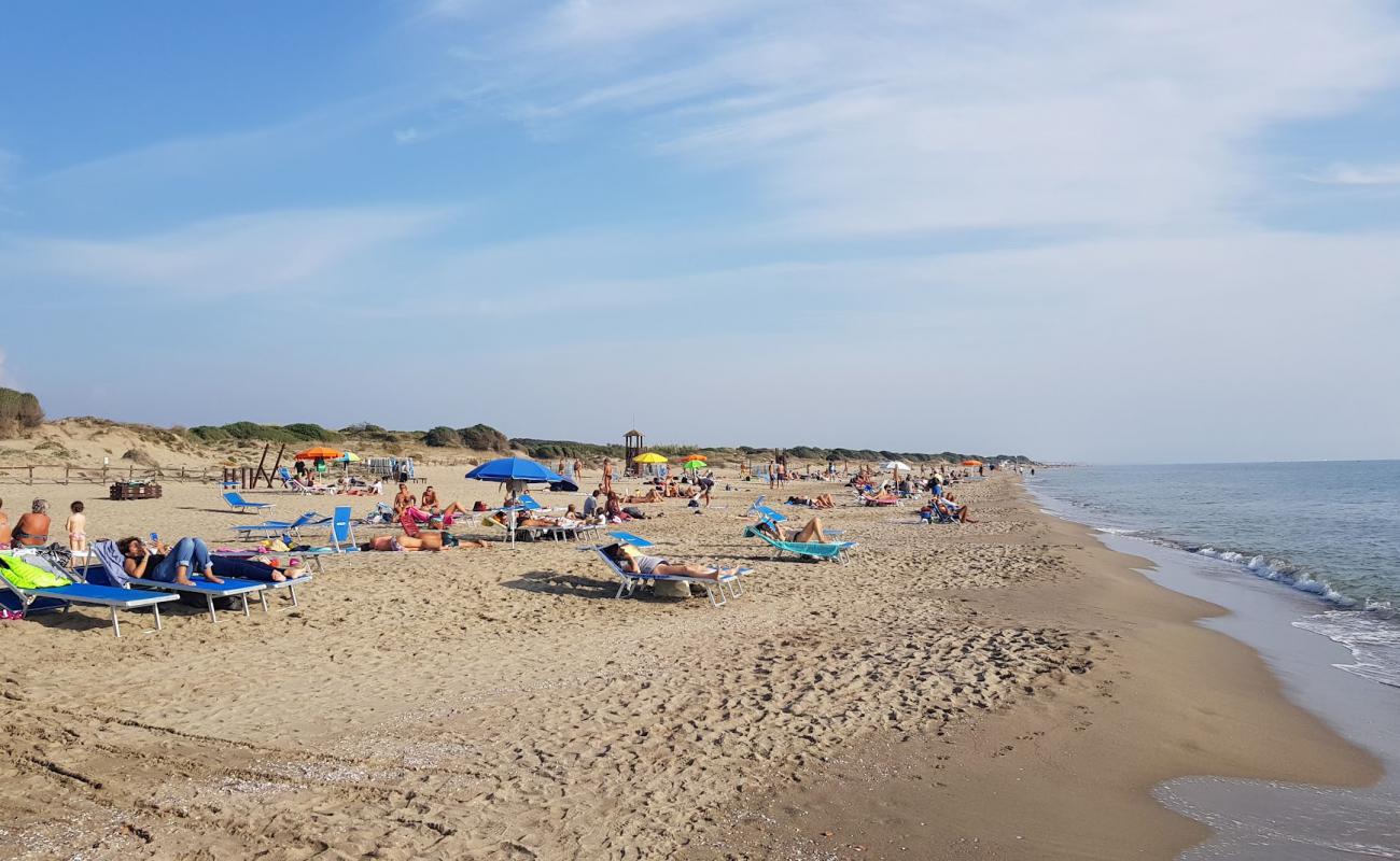 Capocotta Plajı'in fotoğrafı parlak kum yüzey ile