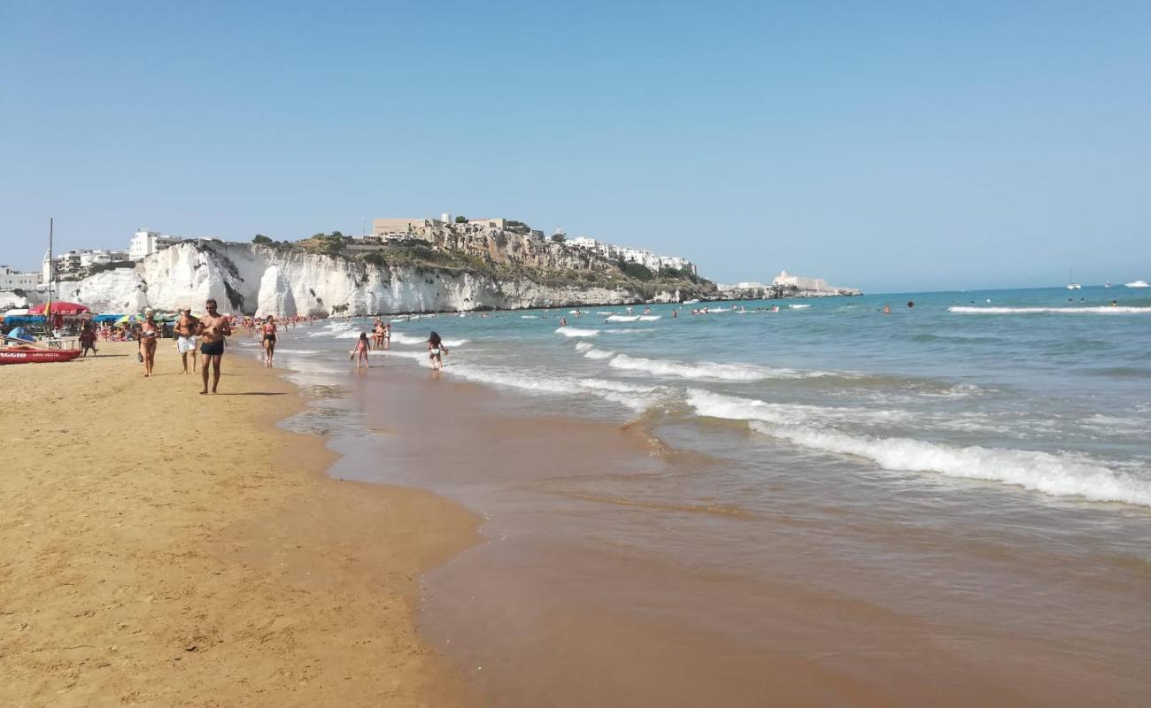 Pizzomunno Plajı'in fotoğrafı açık bej kum yüzey ile
