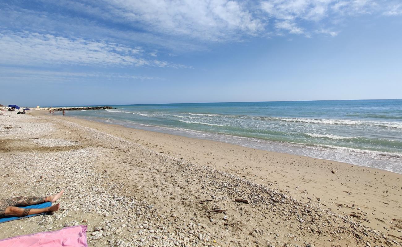 Spiaggia Pineto'in fotoğrafı çakıl ile kum yüzey ile