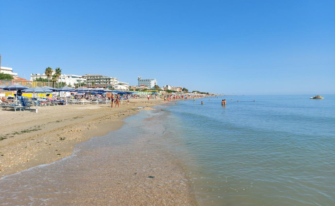 Spiaggia di Alba Adriatica'in fotoğrafı parlak kum yüzey ile