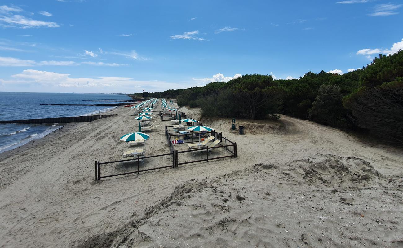 Romea Beach'in fotoğrafı açık bej kum yüzey ile
