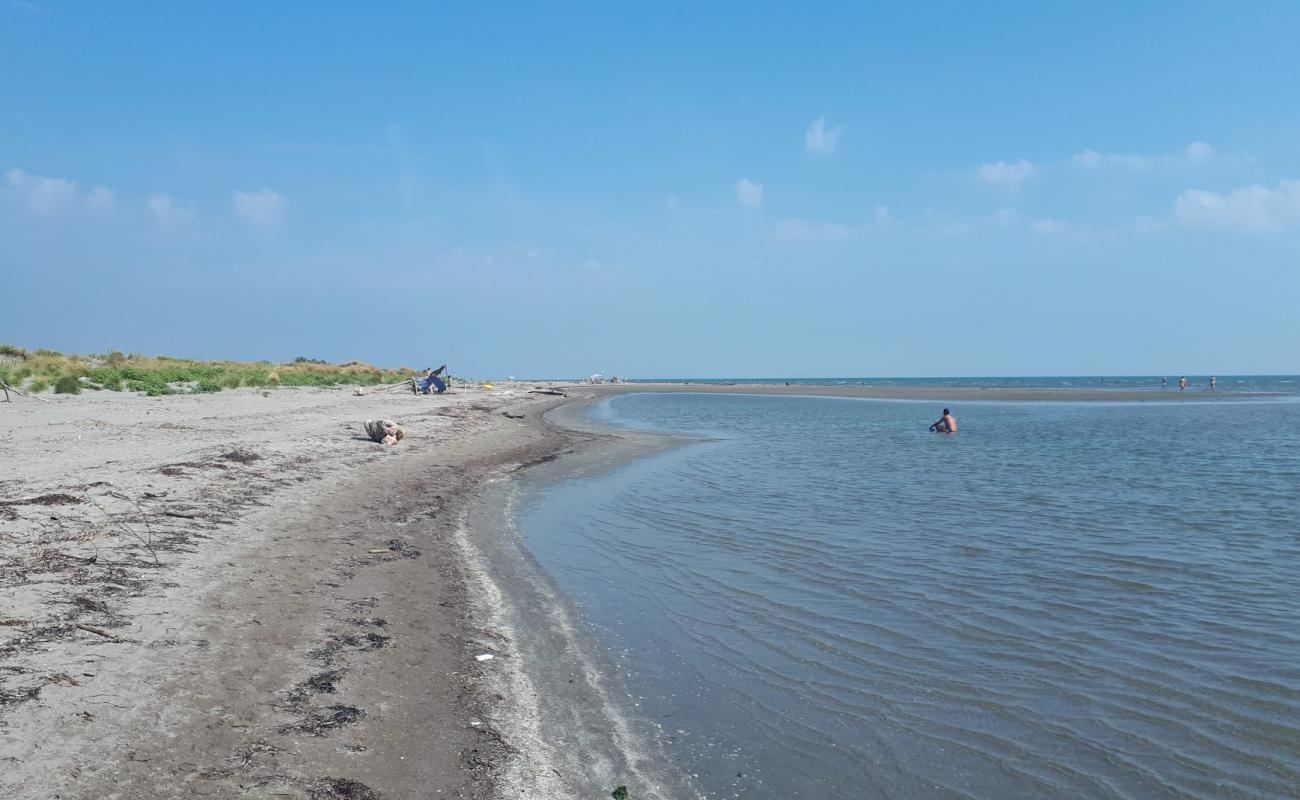 Spiaggia di Porto Caleri'in fotoğrafı gri kum yüzey ile