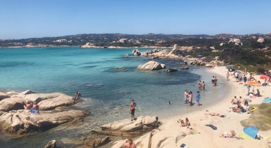 Spiaggia Testa Del Polpo