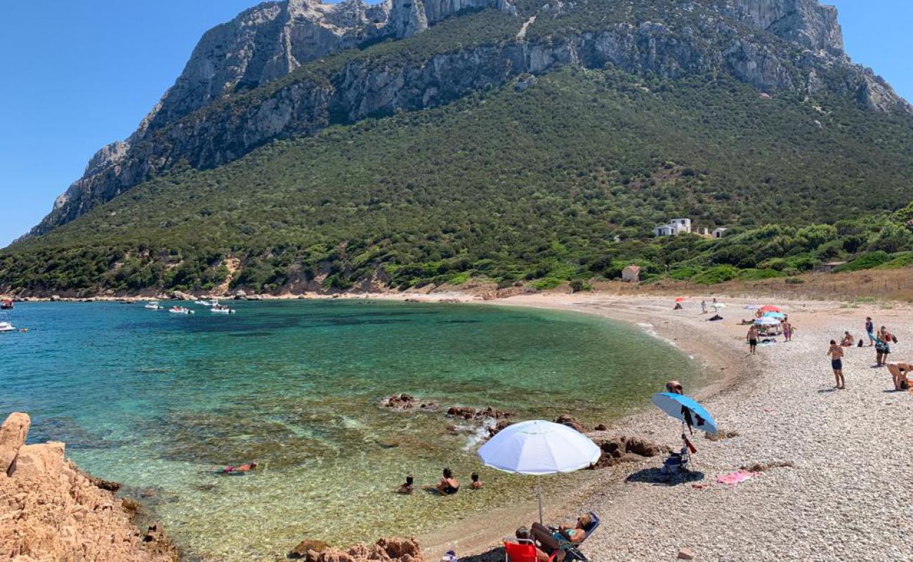 Spiaggia di Cala Tramontana'in fotoğrafı bej çakıl yüzey ile