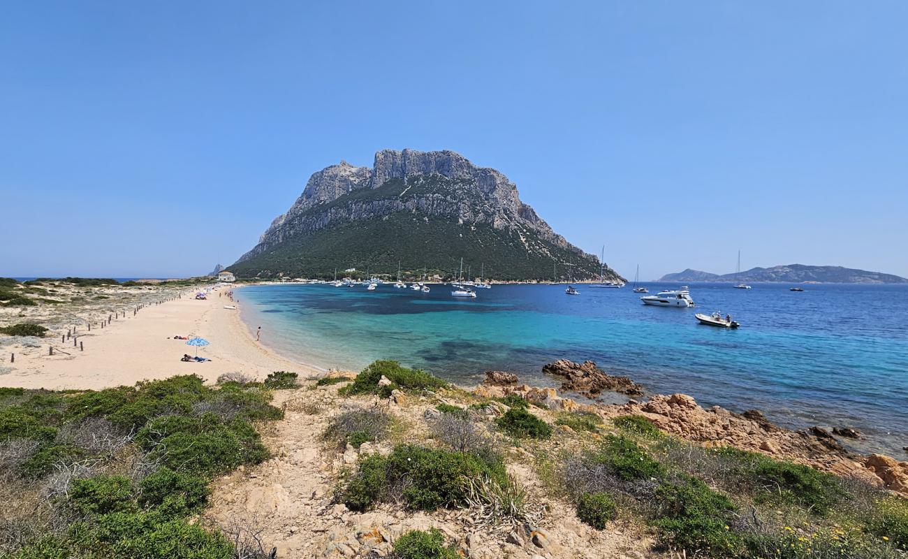 Spiaggia Spalmatore di Terra'in fotoğrafı bej kum ve çakıl yüzey ile