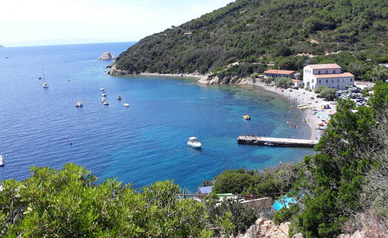 Spiaggia di Enfola'in fotoğrafı gri kum ve çakıl yüzey ile