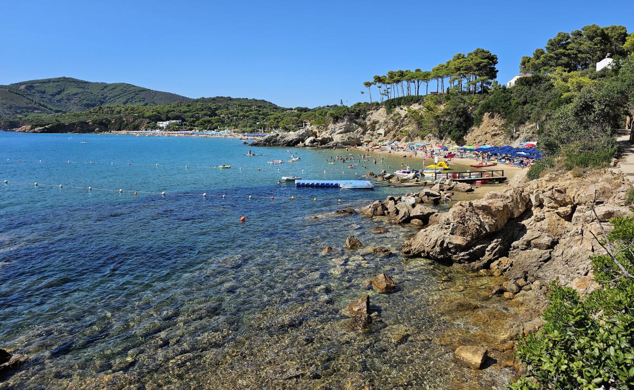 Spiaggia Le Calanchiole'in fotoğrafı parlak kum yüzey ile