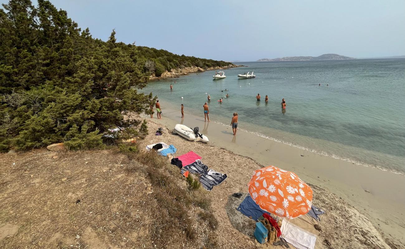 Punta la Vacca Beach'in fotoğrafı açık bej kum yüzey ile