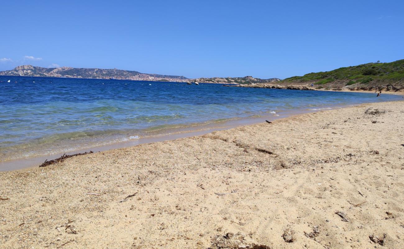 Spiaggia di Punta Nera'in fotoğrafı hafif ince çakıl taş yüzey ile