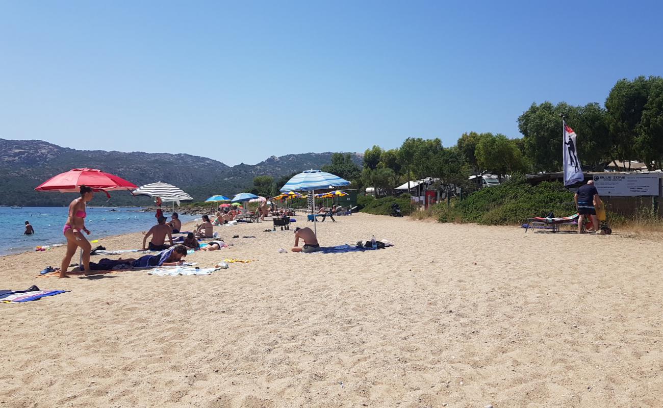 Degli Svedesi Beach'in fotoğrafı açık bej kum yüzey ile