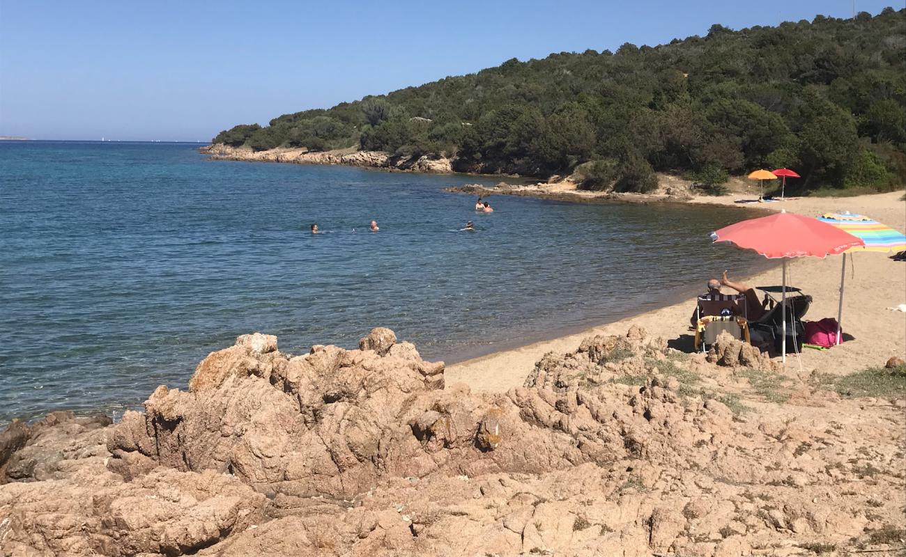 Spiaggetta La Contralta'in fotoğrafı parlak kum yüzey ile