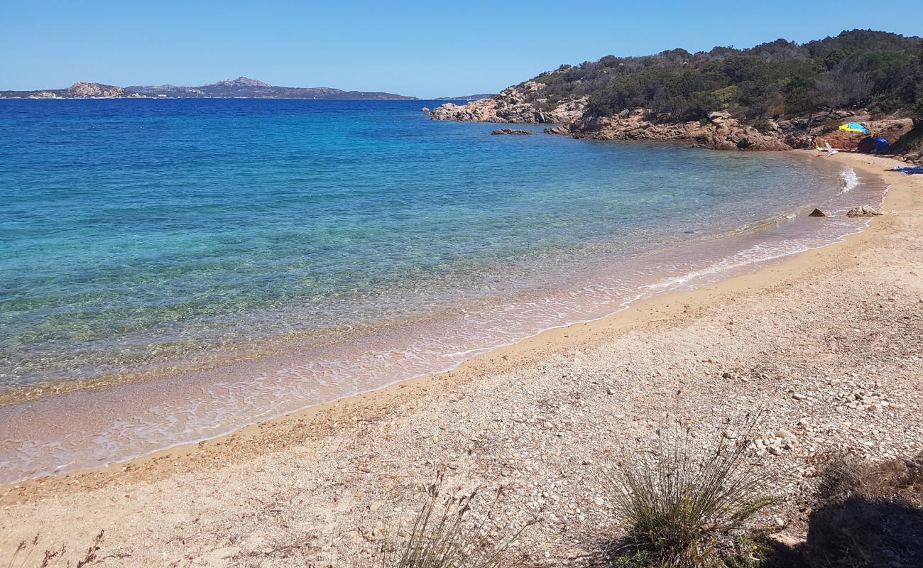 Spiaggia dei Corbezzoli'in fotoğrafı parlak kum yüzey ile